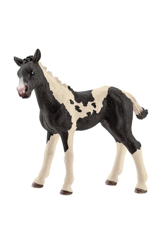 Poulain Pinto - Dès 3 ans