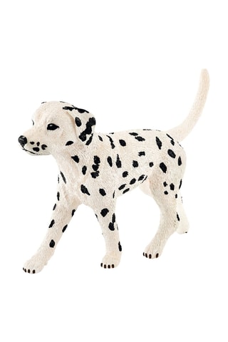 Dalmatien - Dès 3 ans