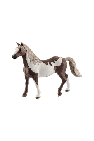 Hongre Paint Horse Horse Club - Dès 3 ans