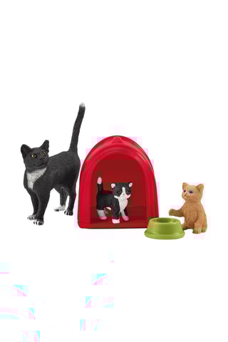 Coffret divertissement pour chats mignons - Dès 3 ans