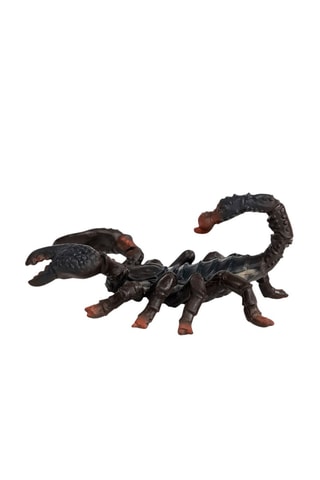 Scorpion Wild Life - Dès 3 ans