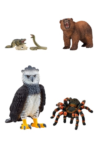 Découverte du monde