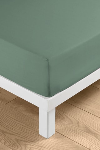 Drap-housse en coton 57 fils/cm² Linella - Sauge