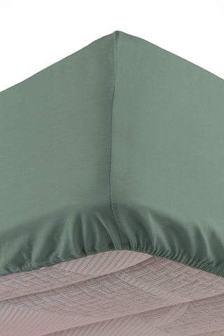 Drap-housse en coton 57 fils/cm² Linella - Sauge
