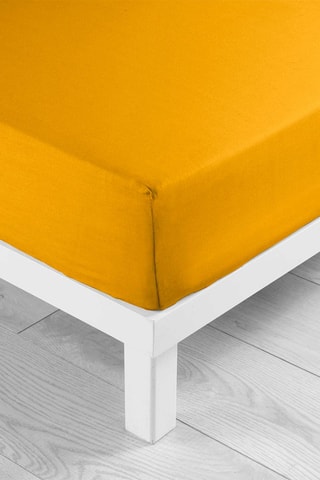 Drap-housse en coton 57 fils/cm² Lina - Curry