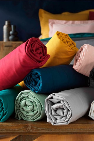 Drap-housse en coton 57 fils/cm² Lina - Curry