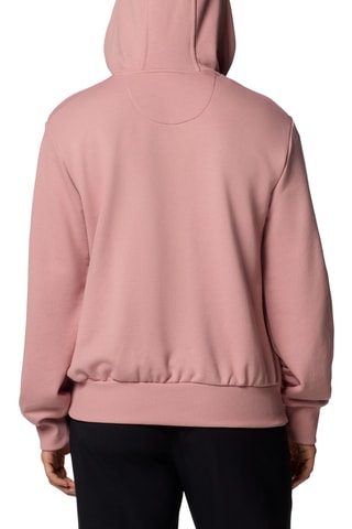 Sweat à capuche Marble Canyon™ - Rose