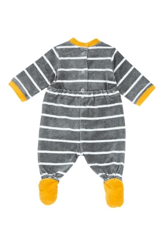 Grenouillère - Gris