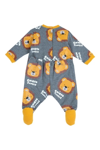 Grenouillère - Gris