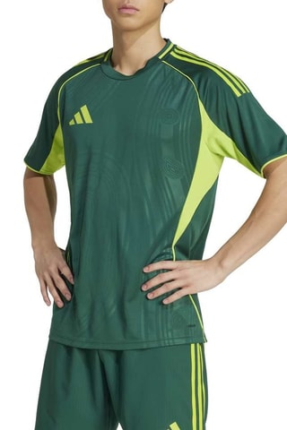 Maillot de football Terre Tiro 25 Competition Match - Vert