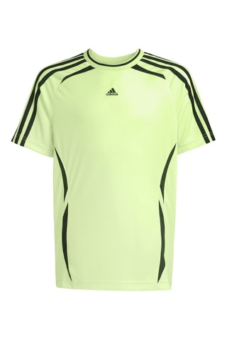 T-shirt - Vert clair