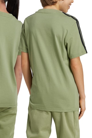 T-shirt - Vert olive