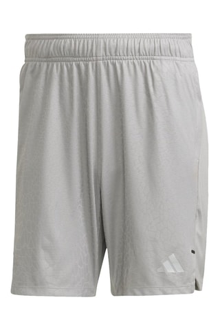 Short d’entraînement Gris