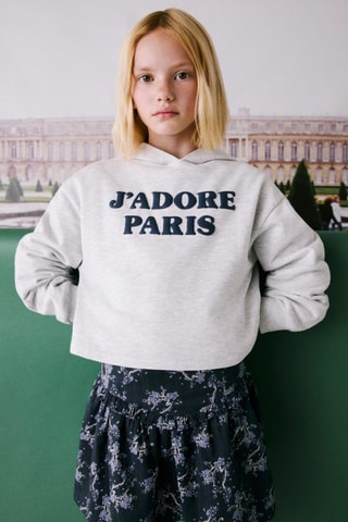 Sweat-shirt imprimé capuche - Gris clair