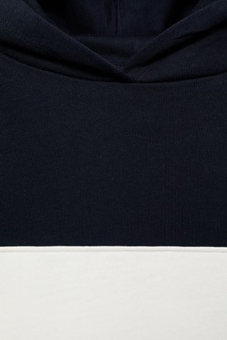 Sweat-shirt rayures capuche - Bleu marine