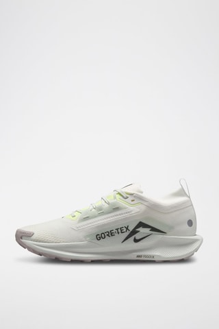 Nike Pegasus Trail 5 GORE-TEX - Blanc