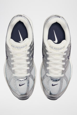 Nike Air Pegasus 2005 - Argenté et gris clair