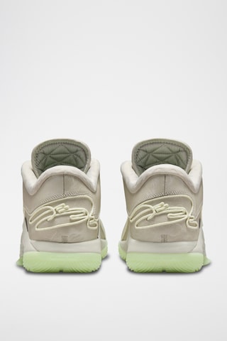 LeBron XXII - Beige et vert clair