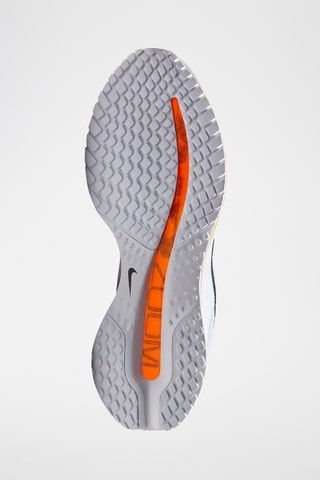 Nike Pegasus Premium - Gris clair