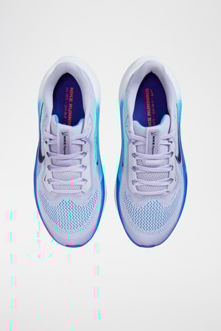 Nike Ari Zoom Pegasus 40 - Gris clair