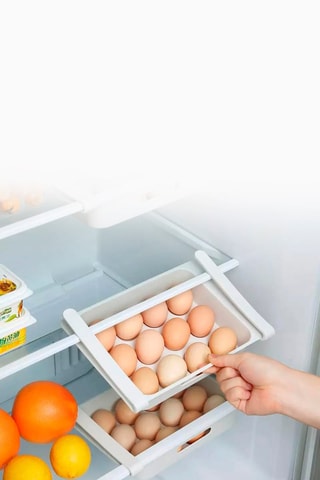 Boîte à œufs 12 œufs