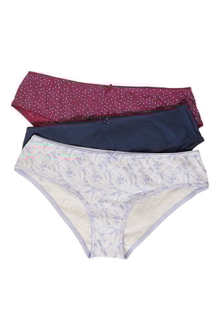 3 cuecas - Malva e azul-marinho