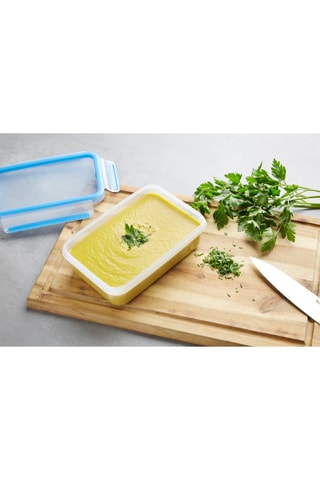 5 Vershoudbakjes Masterseal Fresh - 5 x 0,8 l