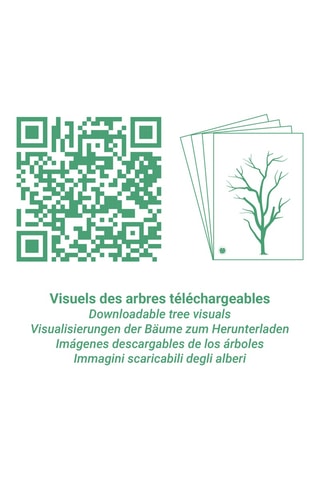 Sellos gigantes - 16 piezas - Desde 3 años