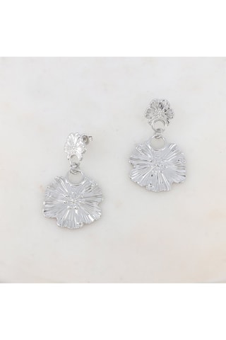 Boucles d’oreilles - Argenté