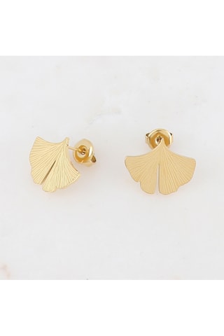 Boucles d’oreilles - Doré
