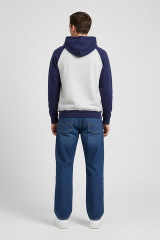 Sweat à capuche - Gris