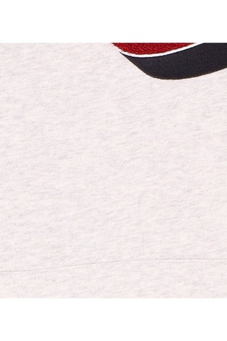 Sweat à capuche - Gris