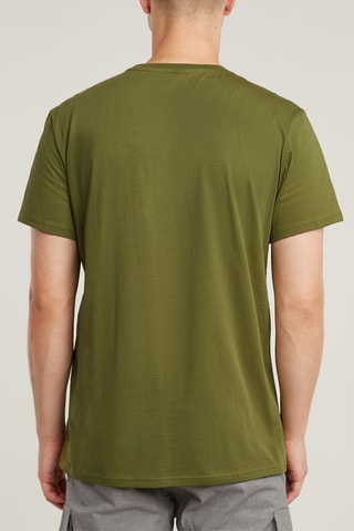 T-shirt regular em algodão biológico Base - Caqui