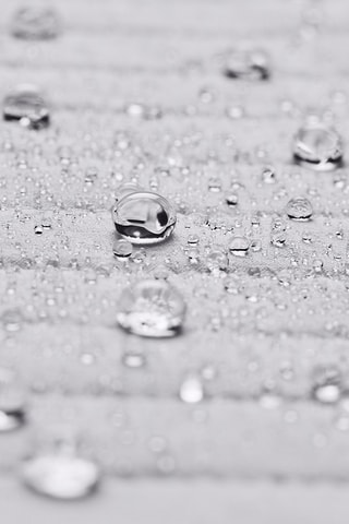 Veste Softshell sans manches - Blanc