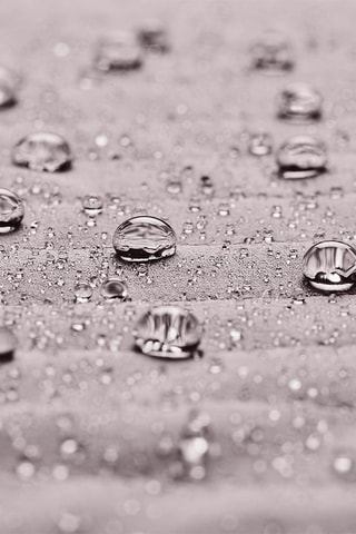 Veste Softshell - Gris clair