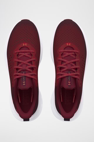 Chaussures de course - Bordeaux