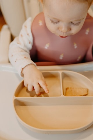 Plato sin BPA - 21,5 x 17 x 3,5 cm - Desde 6 meses