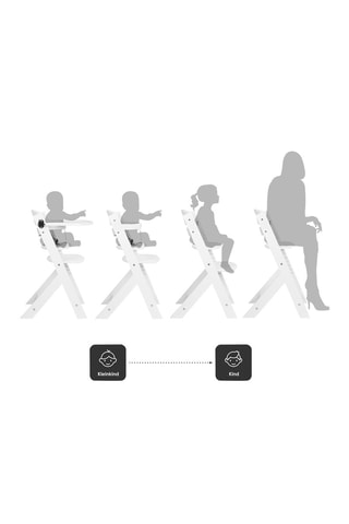 Trona de madera de haya - Desde 36 meses - Family Pro - Hasta 75 kg