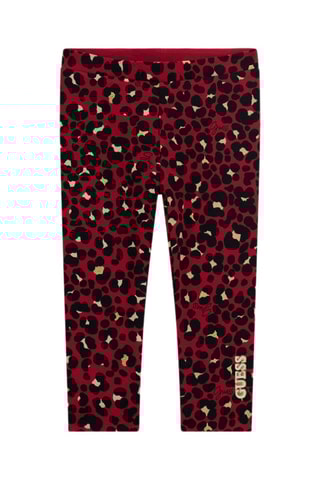 Legging - Bordeaux