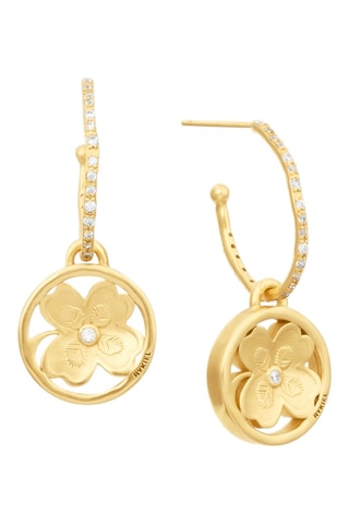 Creolen - Goudkleurig