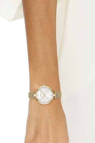 Stalen Doublé Goud Quartz Horloge - Goudkleurig