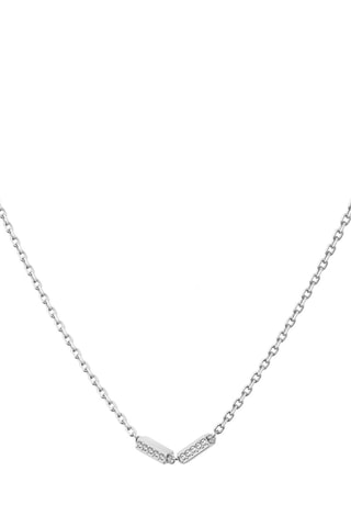 2 Kettingen - Zilverkleurig