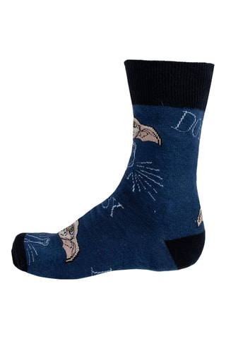 Schrijfset en Sokken Dobby Harry Potter - 3-Delig