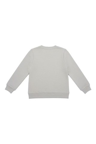 Sweater Marcus en Chase Paw Patrol - Gemêleerd Lichtgrijs