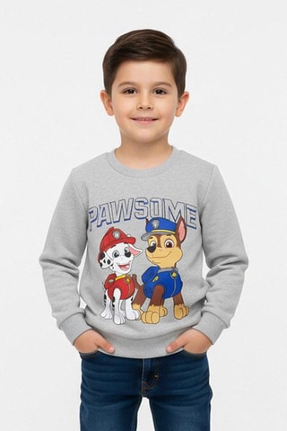 Sweater Marcus en Chase Paw Patrol - Gemêleerd Lichtgrijs