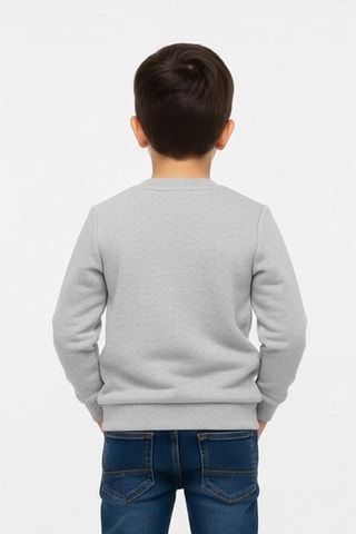 Sweater Marcus en Chase Paw Patrol - Gemêleerd Lichtgrijs