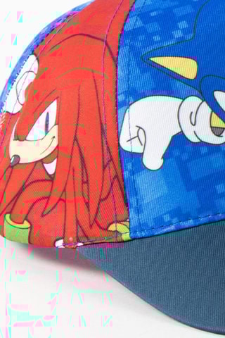 Pet Sonic De Egel - Rood en Indigoblauw