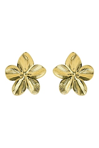 Pendientes - Chapado en oro amarillo - Emily Westwood
