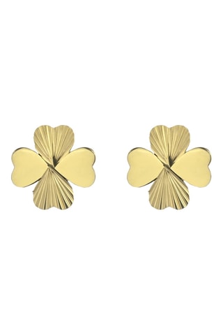 Boucles d'oreilles Macie - Acier inoxydable doré