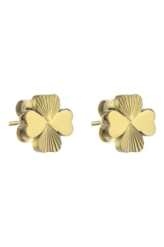 Boucles d'oreilles Macie - Acier inoxydable doré